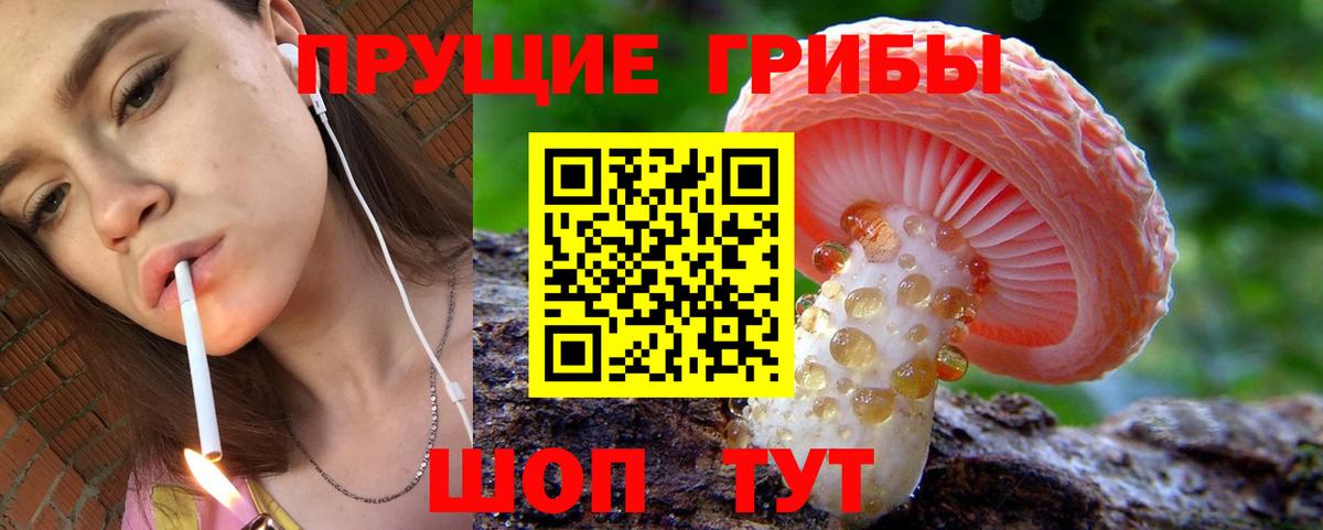 Псилоцибиновые грибы мицелий Кировск