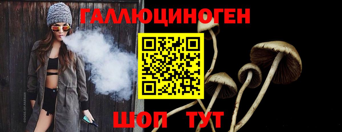 Кировск  Галлюциногенные грибы GOLDEN TEACHER  Вход с VPN 